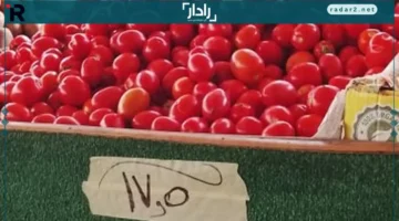 أسعار الخضروات والفاكهة في جنوب سيناء الجمعة 24 أكتوبر 2025